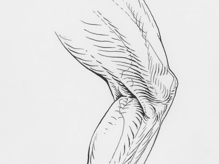 Eine Hand stabilisiert die Hüfte, die andere Hand umfasst das aufgestellt Bein 